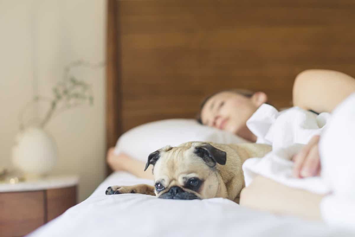 sommeil  récupération