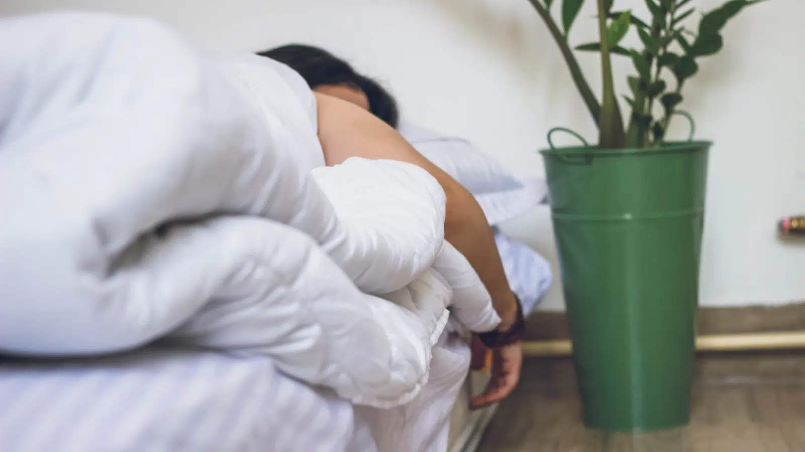 Quel est le rôle du sommeil profond ?