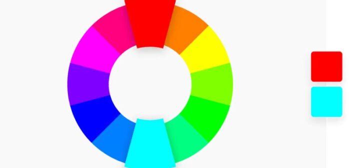 Exploration chromatique comprendre la variété de la couleur des baies