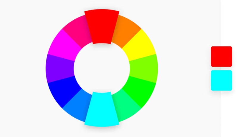 Exploration chromatique comprendre la variété de la couleur des baies