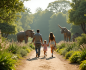 Classement des zoos : où trouver le plus beau zoo de France