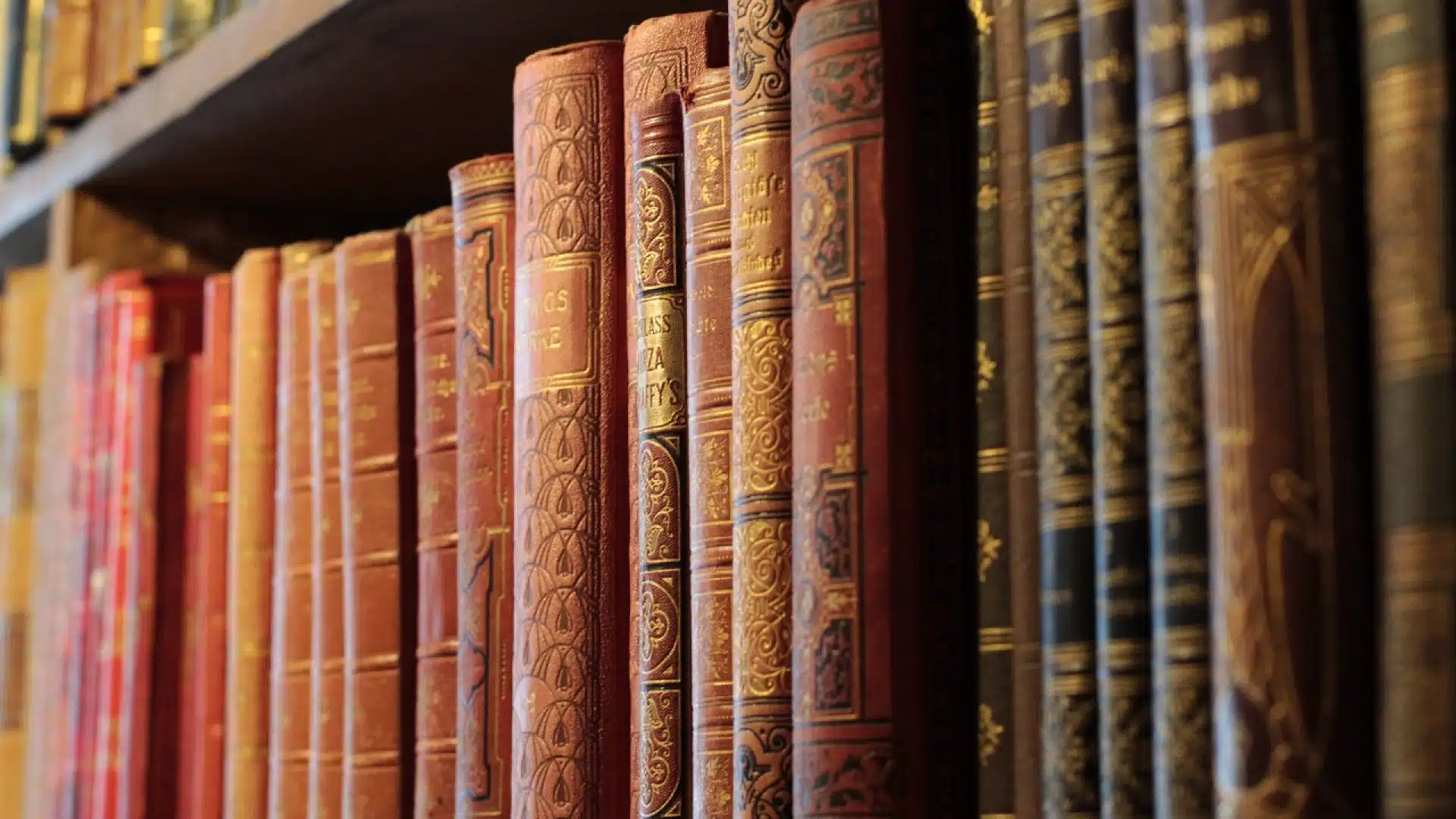 Pourquoi suivre les blogs dédiés à l’étymologie des mots ?